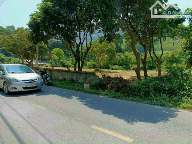Hoa hậu mặt tỉnh lộ 301, bám suối lớn - 2