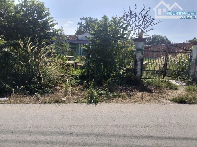 Bán đất góc 2 mặt tiền nhựa xã Tân Thạnh Tây Củ Chi TPHCM, DT: 38x30m. - 2