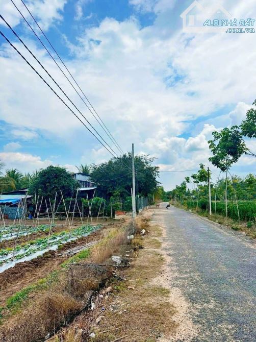 6 công đất có cao su 1 năm tuổi, ấp Tân Tiến xã Tân lập, Tân Biên mt nhựa giá 700tr - 2