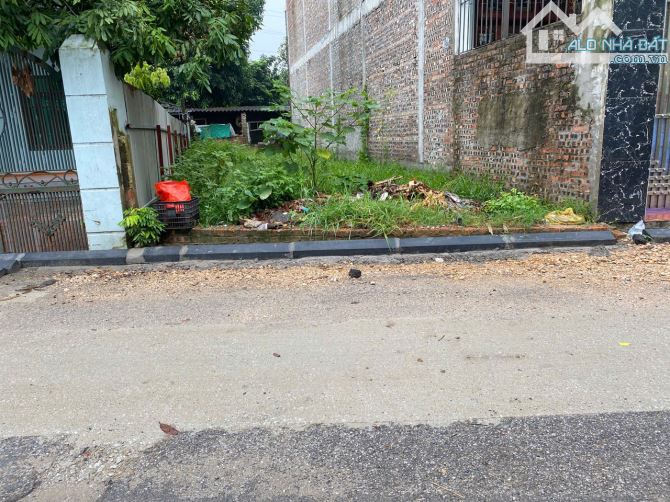 BÁN ĐẤT LÂM TIÊN – PHÚC THỊNH (NGUYÊN KHÊ, ĐÔNG ANH), HÀ NỘI. VỊ TRÍ BÌA LÀNG Ô TÔ TRÁNH - 2