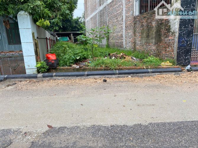 BÁN ĐẤT BÌA LÂM TIÊN, NGUYÊN KHÊ, ĐÔNG ANH. TIỆN ÍCH BẠT NGÀN. QH MỞ ĐƯỜNG TRƯỚC NHÀ. - 2
