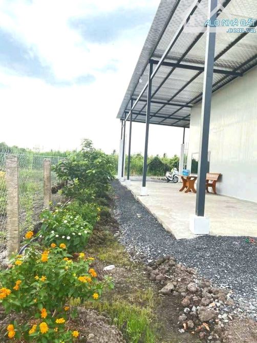 Nhà vườn 500m2 góc 2 mặt tiền View Kênh chỉ 899tr - 2