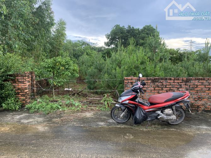 Bán Đất – Thanh Sơn (Xã Minh Phú – SS ) – 175m² – 3,05 Tỷ – Full Thổ Cư –  ÔTô Tải Tránh. - 3