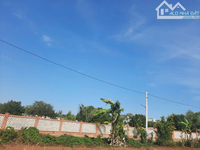 BÁN LÔ ĐẤT SÀO NGÃI GIAO XÃ BÌNH BA HUYỆN CHÂU ĐỨC - 3