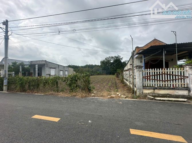 Bán gấp 550 triệu\ 173.9m2 - đất phú giáo- bình dương gần chợ, gần KCN 1000ha - 3