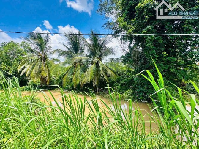 Đất nền view sông phường Tân Ngại tỉnh Vĩnh Long - 3