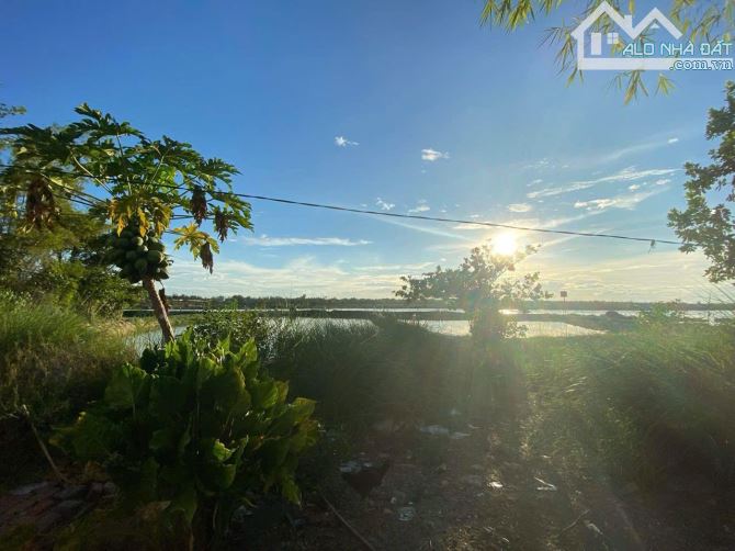 Bán đất biển Tam Thanh TP Tam Kỳ - 3