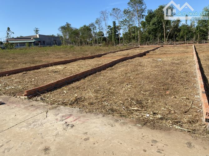BÁN 6 LÔ ĐẤT SÔNG XOÀI - PHÚ MỸ ĐƯỜNG BÊ TÔNG CÁCH ĐƯỜNG NHỰA 183m2 CHỈ 1,370 TỶ - 3