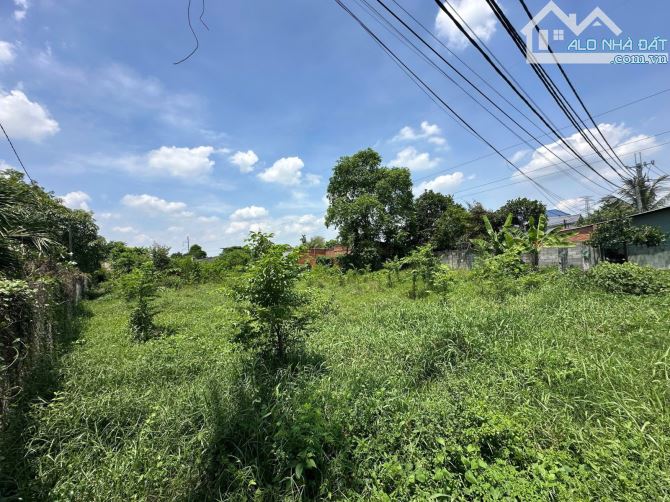 Mặt Tiền Nguyễn Thị Nói - Ngã Tư  - 1.336m² chỉ 10.9 tỷ - 3