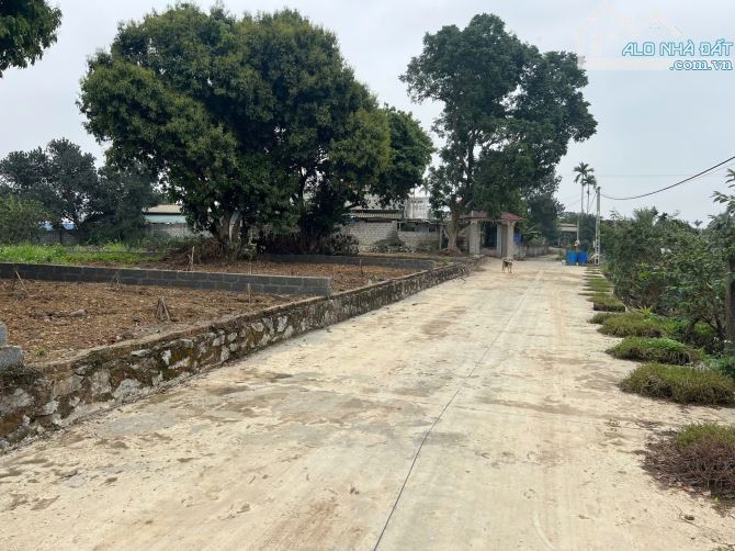 🔰 CẦN BÁN LÔ ĐẤT NGAY CẠNH UBND XÃ NHUẬN TRẠCH - LƯƠNG SƠN - HÒA BÌNH 🔰 - 3