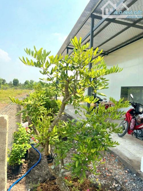 Nhà vườn 500m2 góc 2 mặt tiền View Kênh chỉ 899tr - 4