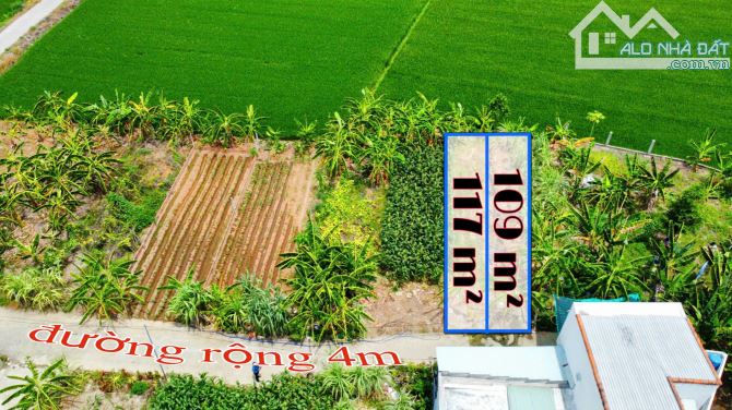 🔥 Đất Diên An giáp TP Nha Trang – full thổ cư, hẻm ô tô 109.9m2 – giá chỉ 1,6 tỷ/lô - 5
