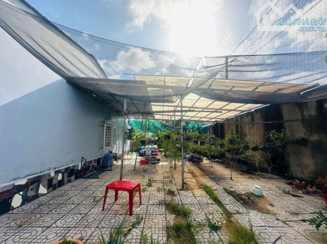 Nhà đất nhánh Phạm Thái Phường phường 3 khu dân cư - 6