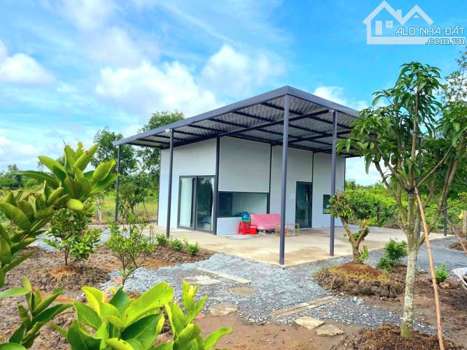 Nhà vườn 500m2 góc 2 mặt tiền View Kênh chỉ 899tr - 6