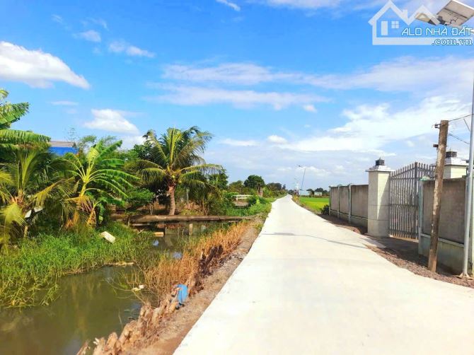 Hàng Thơm, 171m2 đất thổ cư 8x 20m view kênh, chỉ 590tr - 7