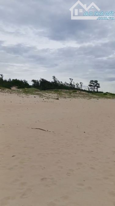 Bắt đầu sốt lại rồi! Bán Đất Mặt Biển Phú Yên Chính Chủ 24.000m2 Sổ Hồng - 7
