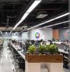 122.x  Tỷ/ 215/240 M2. Nhà 9 Tầng/ 10 M tiền/ Mặt Phố Hoàng Cầu