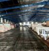 Cho thuê kho KV 11.000m2, XD 5800m2, đường container, Tân Kiên, Bình Chánh