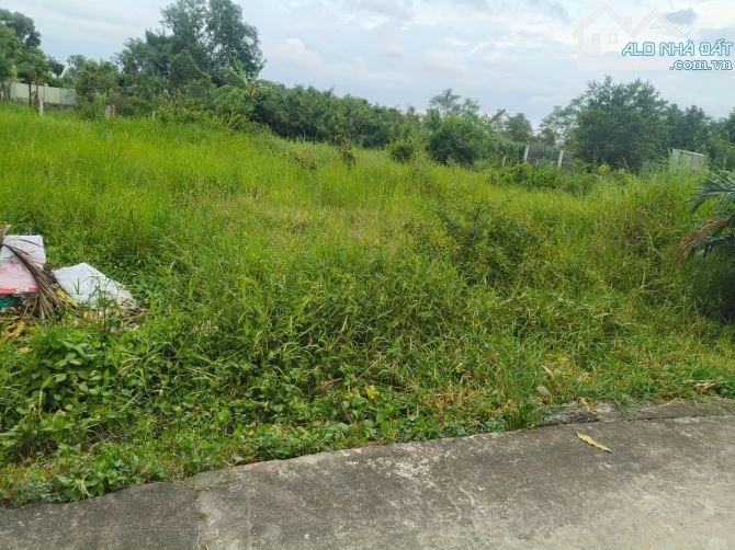 Bán đất vườn Bùi Thanh Khiết, Tân Túc, Bình Chánh