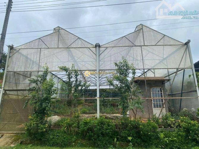 Cơ Hội Đầu Tư Đất Đà Lạt, Đường Ô Tô,Sổ Đẹp, Thoáng Mát,Đường Trước 5m- Mặt Tiền Măng Line