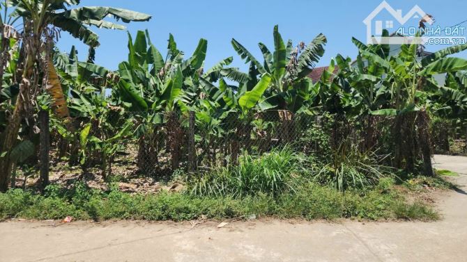 Bán 2 lô đất liền kề 12x22m Hướng tây, xã An Phú (Nghĩa Dõng cũ), Quảng Ngãi