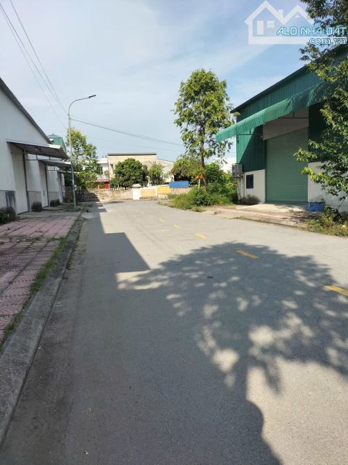 💐💐BÁN LÔ BIỆT THỰ DABACO LẠC VỆ, TIÊN DU,BN. Dt 255m2 mặt 15m giá hơn 7 tỷ - 1