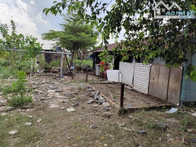 bán lô đất vườn 2811m2-giá hơn 5 triệu/m2- đặng thúc vịnh- thới tam thôn-giá tốt đầu tư - 1