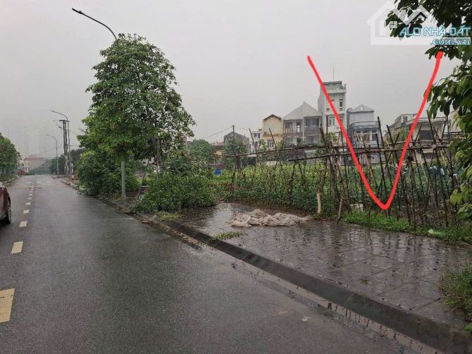 CHỦ NHÀ CẦN BÁN GẤP ĐẤT PHÂN LÔ-MAI LÂM ĐÔNG ANH-DT81M2-MT5M-NHỈNH12.8TỶ CÓ THƯƠNG LƯỢNG - 1