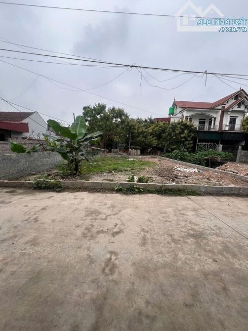 Ông Đình - Khoái Châu 111,5m ful thổ có thể chia 2 lô, đường trước đất rộng ô tô đánh võng - 1