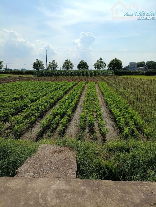 Bán đất trang trại VAC- Hồng Minh,giá rẻ,tiềm năng sinh lời cao,DT:20900m,Giá:3.5 tỉ - 1