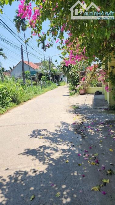 Bán 2 lô đất liền kề 12x22m Hướng tây, xã An Phú (Nghĩa Dõng cũ), Quảng Ngãi - 1