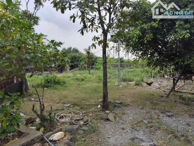 bán lô đất vườn 2811m2-giá hơn 5 triệu/m2- đặng thúc vịnh- thới tam thôn-giá tốt đầu tư - 2