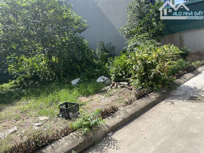 🔥BÁN ĐẤT BÌA LÀNG KIM CHUNG ĐÔNG ANH - ĐƯỜNG 3 LÀN OTO TRÁNH - 91M - MT KHỦNG 6.7M 💥💥💥 - 2