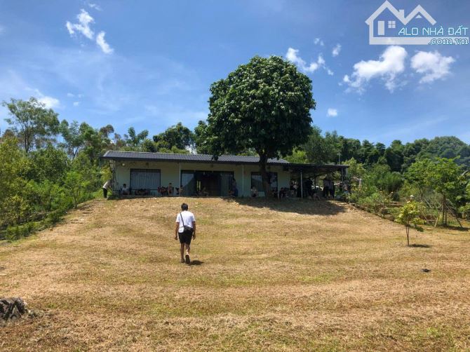 NGHỈ DƯỠNG,HOMESTAY LƯNG TỰA ĐỒI, SUỐI ĐẦU NGUỒN CHẢY QUA ĐẤT 6600M 5,6 TỶ ĐÀ BẮC HOÀ BÌNH - 2