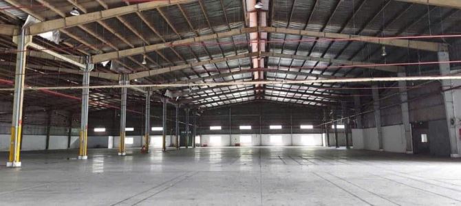 Cho Thuê 10.000m2 – 20.000m2 Nhà Xưởng Trong KCN Bến Cát Bình Dương - 2