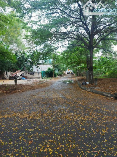 Cho thuê đất biệt thự nền góc đường Bát Nàn P Thạnh Mỹ Lợi Quận 2 cũ (249m2) 15 tr/tháng - 2