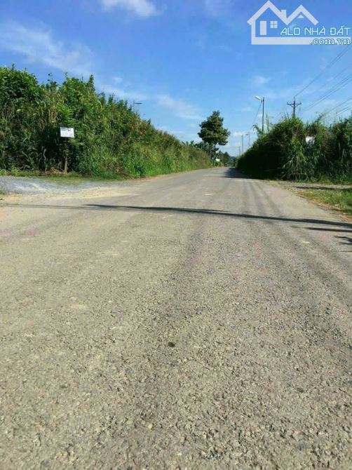 Giá 5,8 tỷ. Bán đất mặt tiền đường Long Chiến, Vĩnh Cữu. 1076m có 100m thổ cư. - 2
