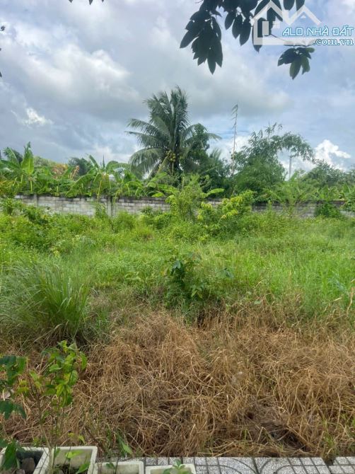 ✅ Bán đất thổ lô D8 thuộc KDC An Nhiên , Phường 6 , TP Tân An _ Diện Tích : 5 x 19.2m2 - 2