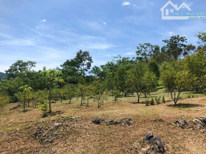 NGHỈ DƯỠNG,HOMESTAY LƯNG TỰA ĐỒI, SUỐI ĐẦU NGUỒN CHẢY QUA ĐẤT 6600M 5,6 TỶ ĐÀ BẮC HOÀ BÌNH - 23