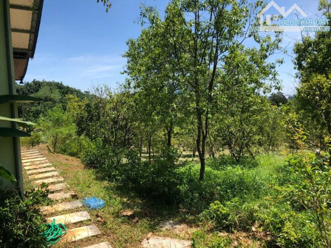 NGHỈ DƯỠNG,HOMESTAY LƯNG TỰA ĐỒI, SUỐI ĐẦU NGUỒN CHẢY QUA ĐẤT 6600M 5,6 TỶ ĐÀ BẮC HOÀ BÌNH - 24
