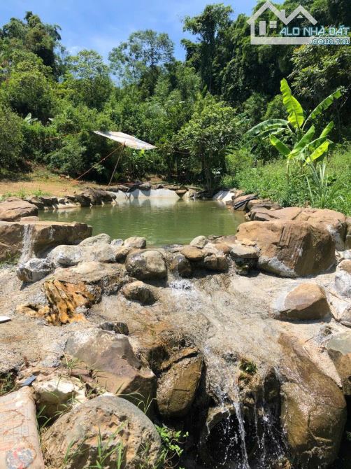NGHỈ DƯỠNG,HOMESTAY LƯNG TỰA ĐỒI, SUỐI ĐẦU NGUỒN CHẢY QUA ĐẤT 6600M 5,6 TỶ ĐÀ BẮC HOÀ BÌNH - 26