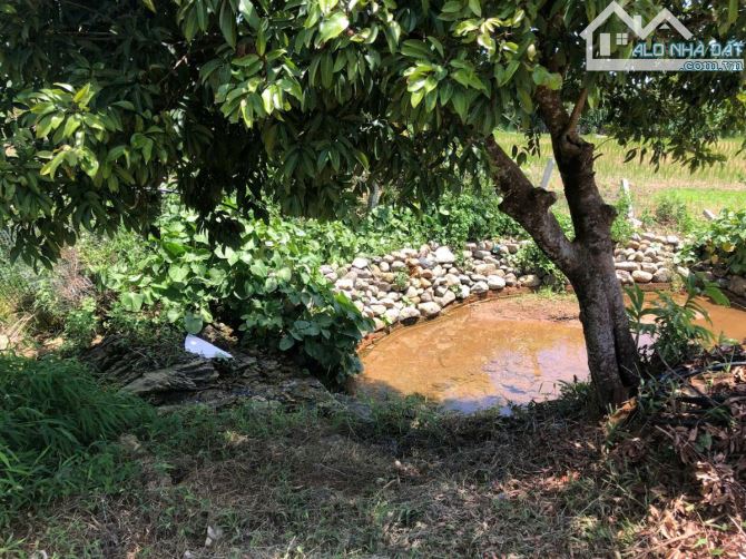 NGHỈ DƯỠNG,HOMESTAY LƯNG TỰA ĐỒI, SUỐI ĐẦU NGUỒN CHẢY QUA ĐẤT 6600M 5,6 TỶ ĐÀ BẮC HOÀ BÌNH - 28
