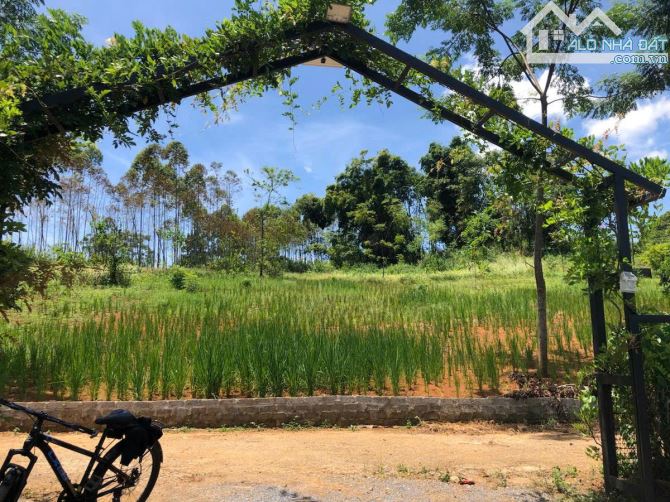NGHỈ DƯỠNG,HOMESTAY LƯNG TỰA ĐỒI, SUỐI ĐẦU NGUỒN CHẢY QUA ĐẤT 6600M 5,6 TỶ ĐÀ BẮC HOÀ BÌNH - 3