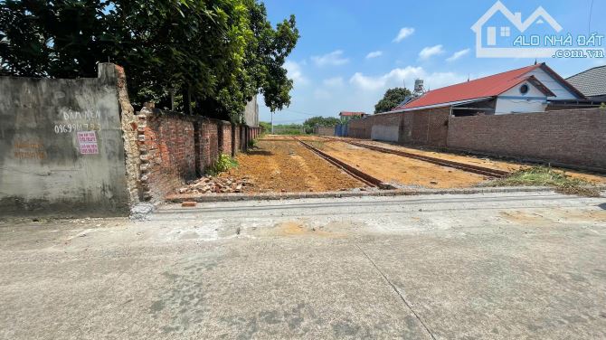Bán đất Đan Tảo, Tân Minh Sóc Sơn 99m2 MT 5m đường thông ô tô tránh nhỉnh 2 tỷ - 3