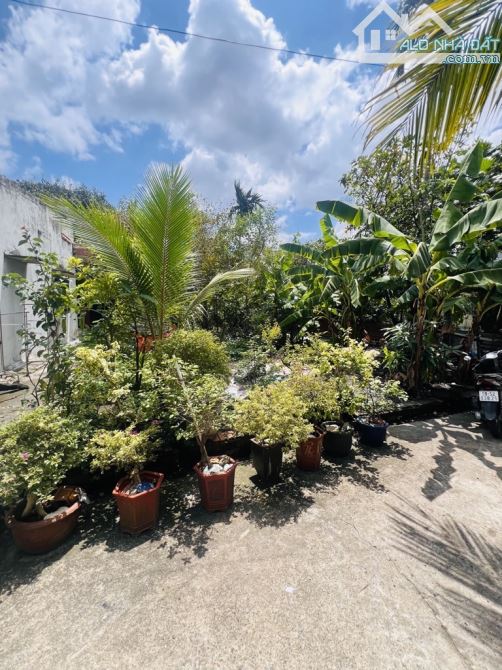 Đất FULL THỔ CƯ đường THẠNH LỘC 49, phường THẠNH LỘC Q12 dt 169m2 (8mx21m) đường oôt💰4,2T - 3