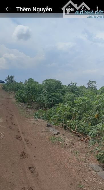 ĐẤT SÀO ĐƯỜNG ĐẤT 50M, ĐẸP NHƯ MƠ -CẲT LỖ, GIÁ BÈO: 800 TRIỆU, XÃ HƯNG THỊNH-HUYỆN TRẢNG B - 3