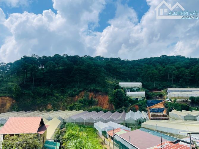 Bán biệt thự mặt tiền Triệu Việt Vương rộng gần 1200m2 chỉ hơn 27 tr/m2 TL - 3