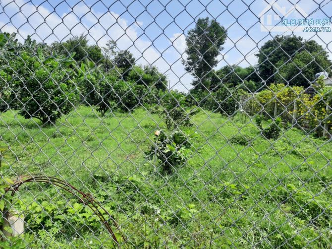 Giá 5,8 tỷ. Bán đất mặt tiền đường Long Chiến, Vĩnh Cữu. 1076m có 100m thổ cư. - 3