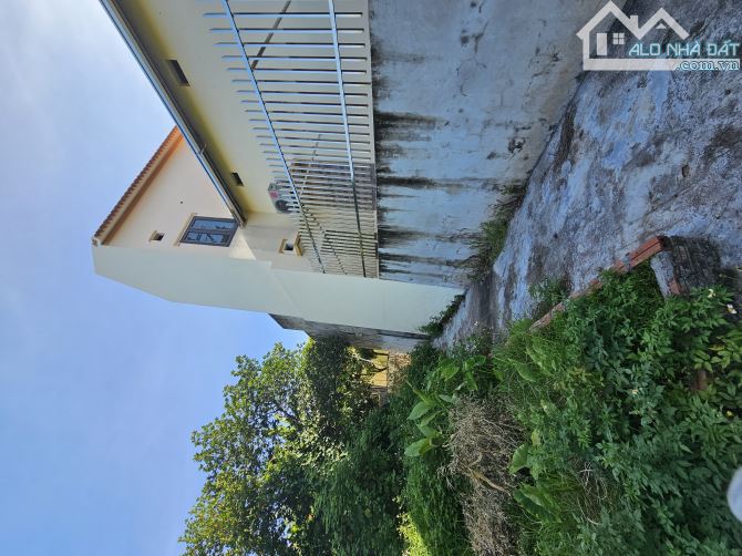🔥50M² ĐẤT ĐẸP THỌ AN – MẶT TIỀN HƠN 5M – GIÁ CHỈ 2,X TỶ (x có là vào việc)🔥 - 3