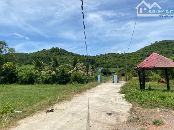 Cần Bán Gấp Lô Đất diên thọ 3570m - cách tỉnh lộ 2 70m - QH full thổ - 3